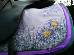 Serfozo Bianka vizsgamunka_2011